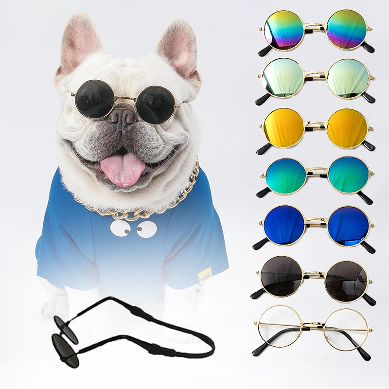 Óculos Solar para Pets