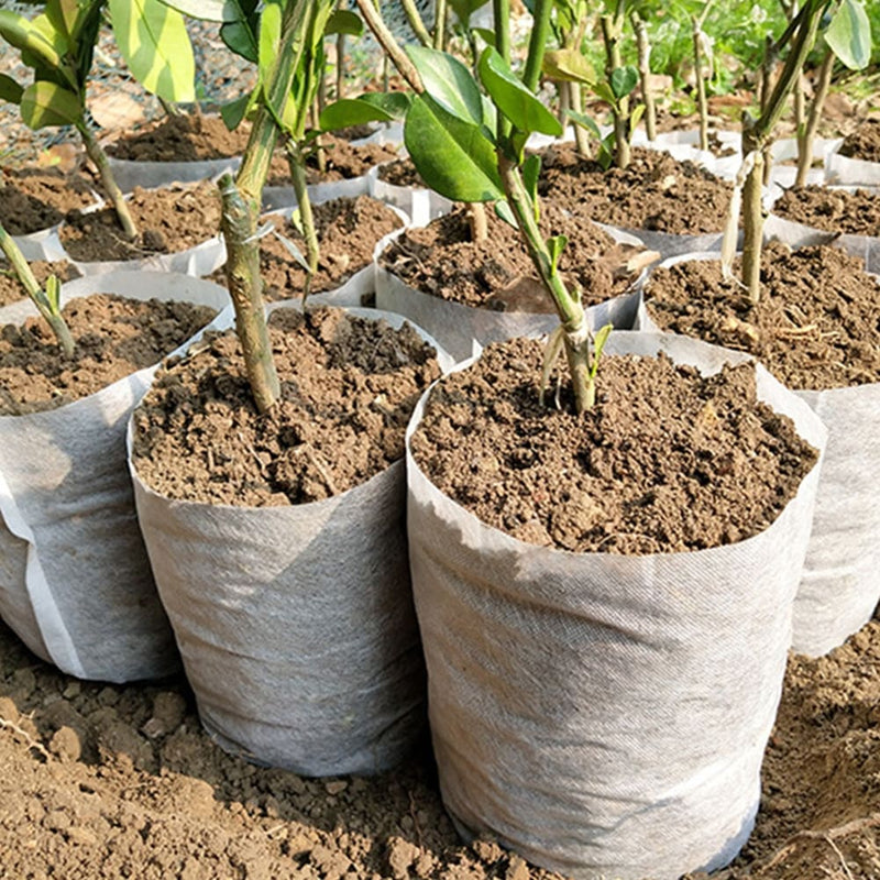 Sacos Biodegradáveis para Plantio